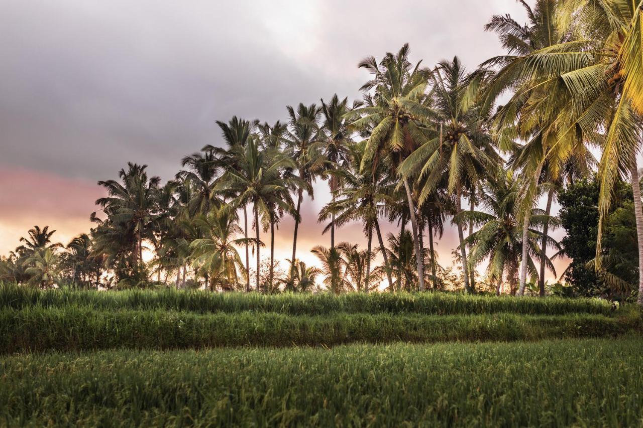 Villa The Luxe Ubud