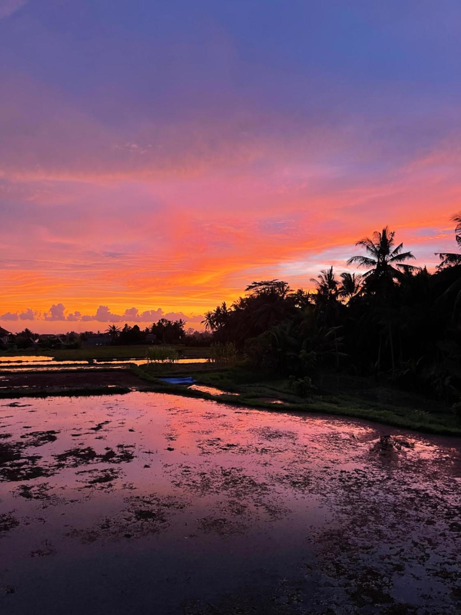 The Luxe * Ubud